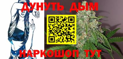 шишки Аша