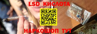 шишки Аша
