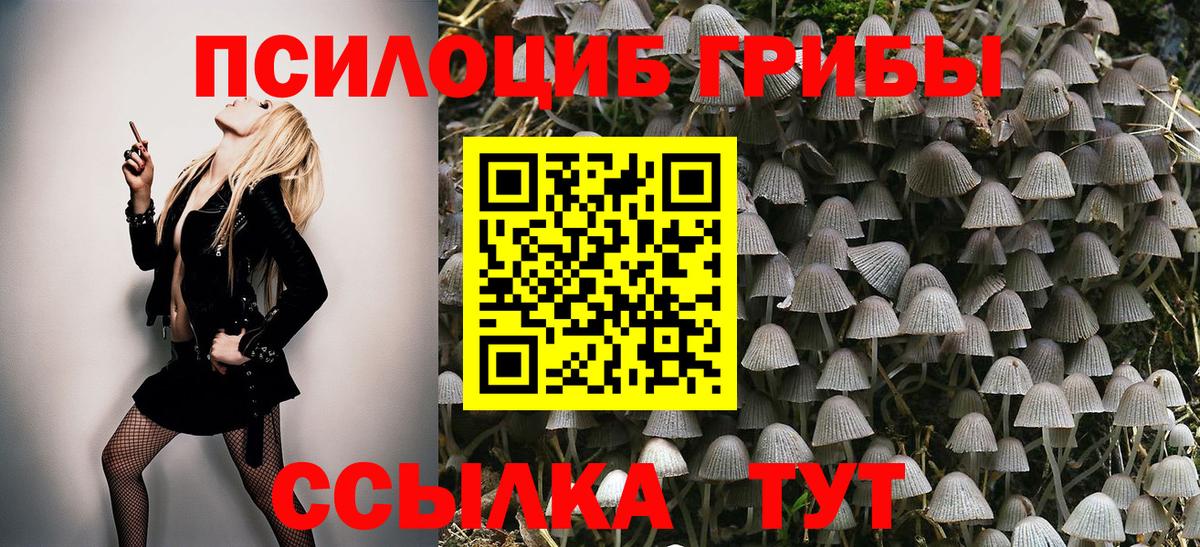 Псилоцибиновые грибы Cubensis Гусь-Хрустальный