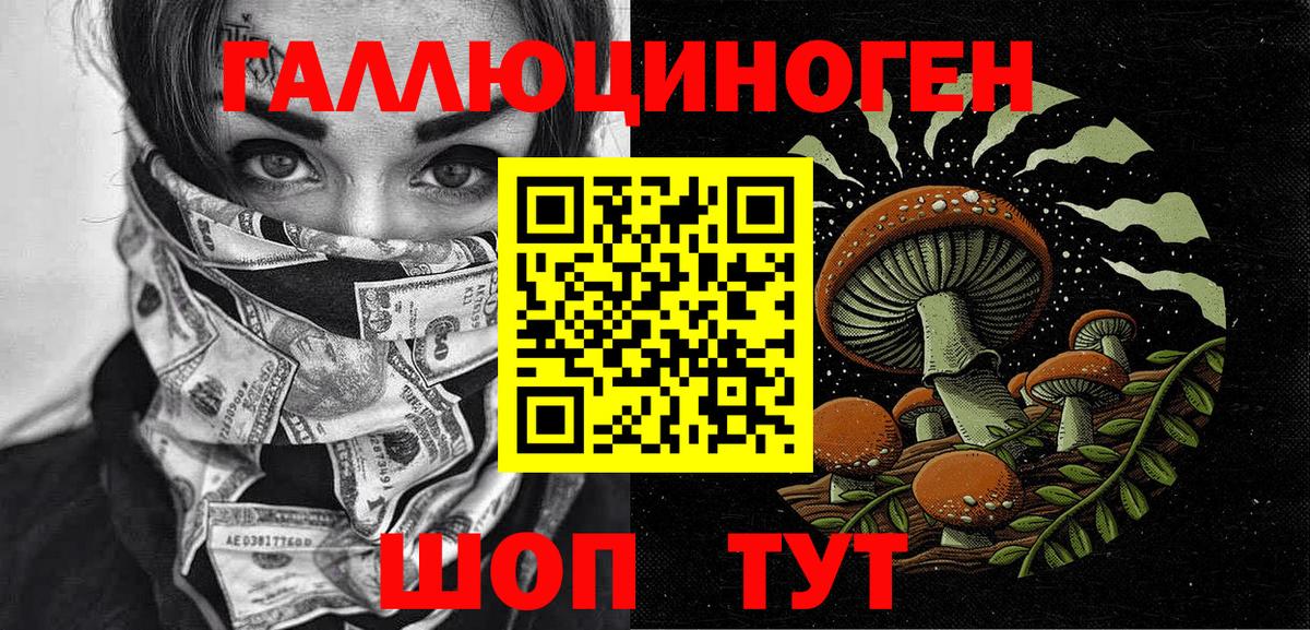 Гусь-Хрустальный  Псилоцибиновые грибы GOLDEN TEACHER  Псилоцибиновые грибы Psilocybe  Вход с VPN 